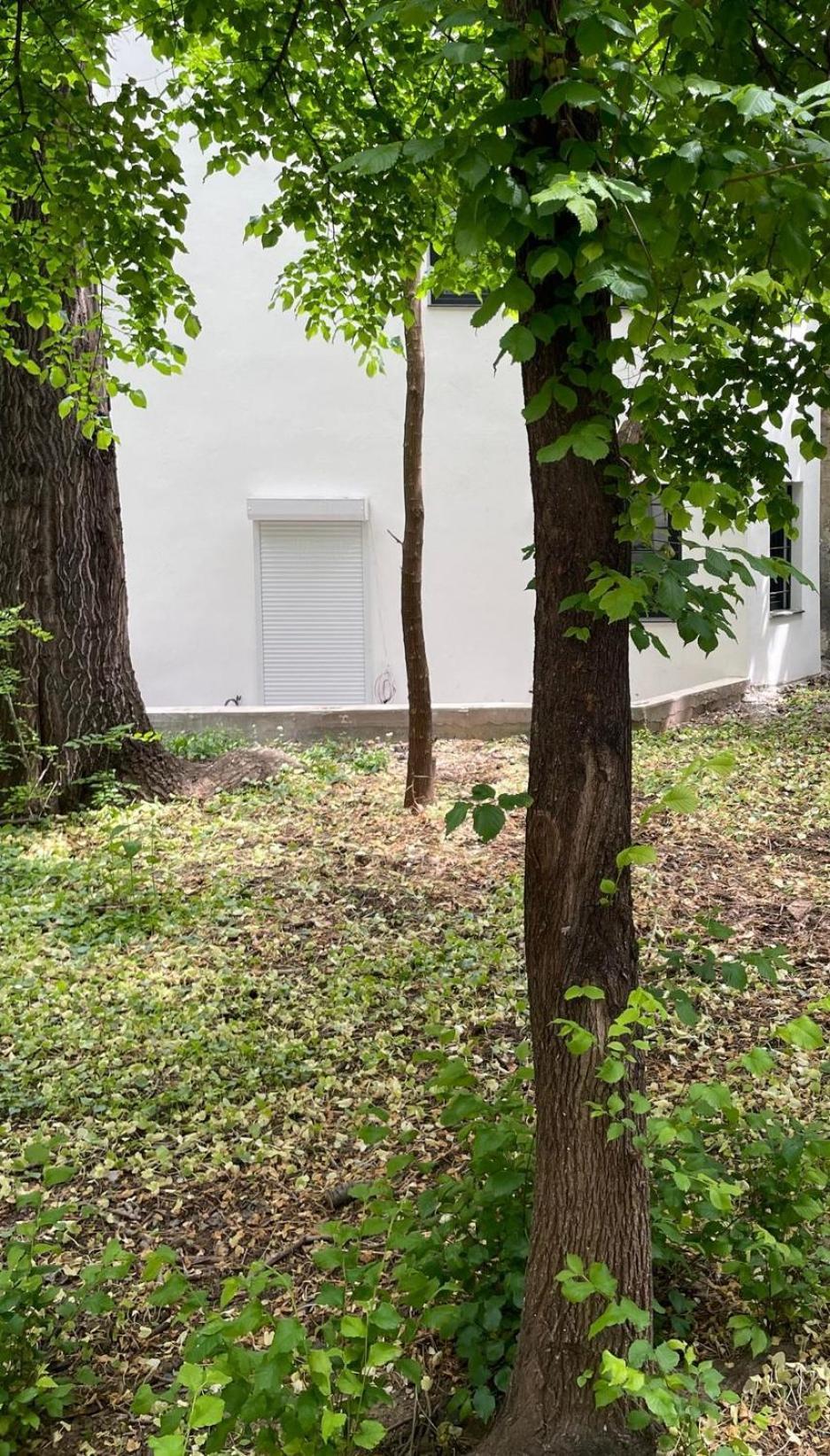 One Room Apartment Decebal Βουκουρέστι Εξωτερικό φωτογραφία